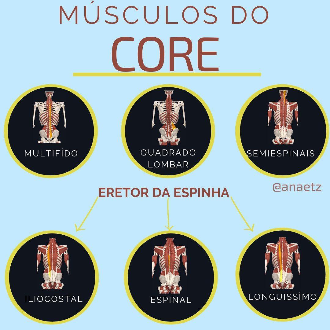 TRABALHANDO O CORE = AUMENTO DE RESULTADOS E ALIVIO DE DORES, PRINCIPALMENTE LOMBARES